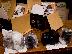 PoulaTo: Πώληση Apple iPhone 5 64GB iPad 3 BlackBerry Z10 Canon 1D Mk IV